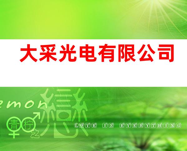 大采光电有限公司